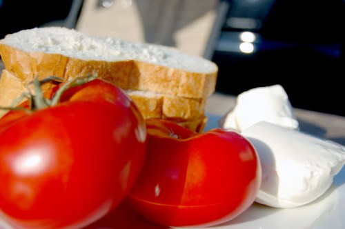 Fresh tomato moz- small