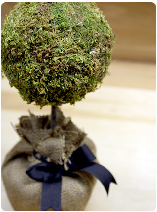 How to Make a Moss Topiary