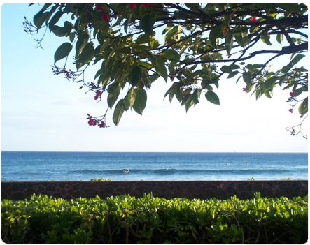 tropical vacation picture