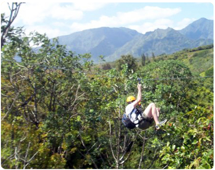 Colleen McIntyre Flee Fly Flown