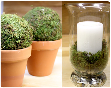 Moss Balls in Pots, Spring Decor