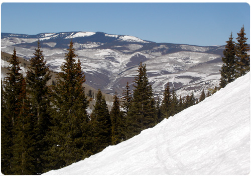 Colorado Rockies treeline