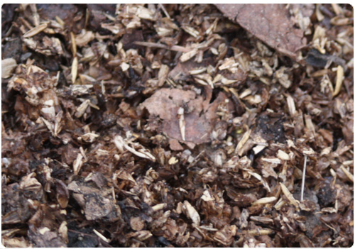 What You Can Compost