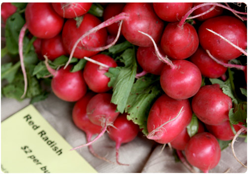 Ways to Be Eco-Friendly