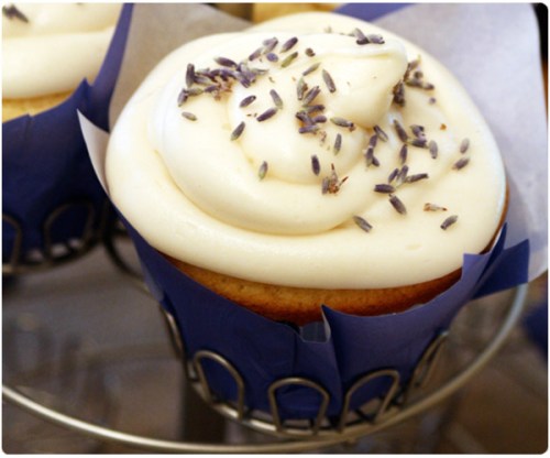 lemon lavender cupcakes