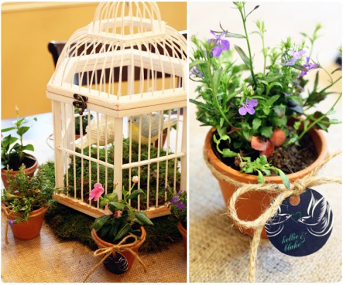 love birds bridal shower decor