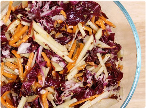 carrot-slaw carrot, apple and radicchio slaw
